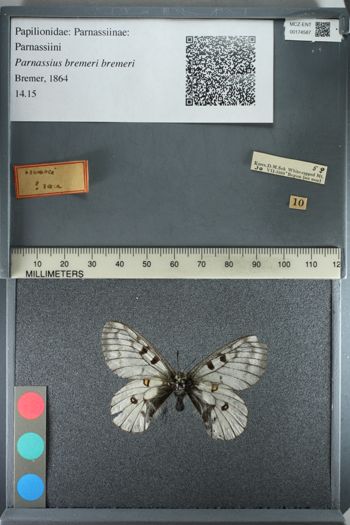 Media type: image;   Entomology 174587